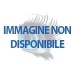 Stampante che non vuole funzionare?<a name='more'></a> avviamento stampante