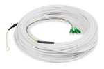 Compra Digitus Cavo Ftth Drop, Single Mode, 4 Fibre, 4 Lc... Digitus Cavo Ftth Drop, Single Mode, 4 Fibre, 4 Lc...