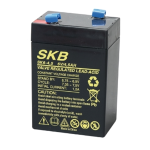 Compra Batteria 6V 4.5Ah 70X48X101 Batteria 6V 4.5Ah 70X48X101